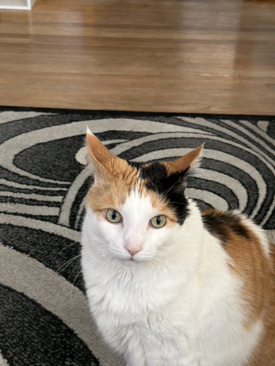 ❤️KiKi❤️ tweet media