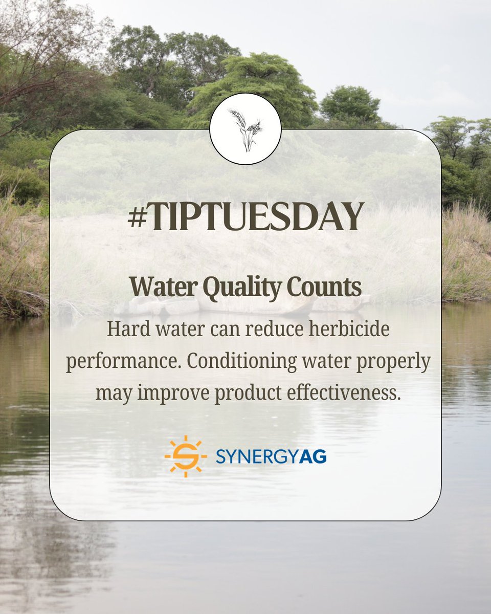 SynergyGrenfell's tweet photo. Water quality plays a big role in spray performance. Hard water can tie up certain herbicides, reducing effectiveness and weed control. Using the proper water conditioner or adjuvant can help products work more efficiently and improve spray results in the field.

#SynergyAG https://t.co/FxwZyJXOiz