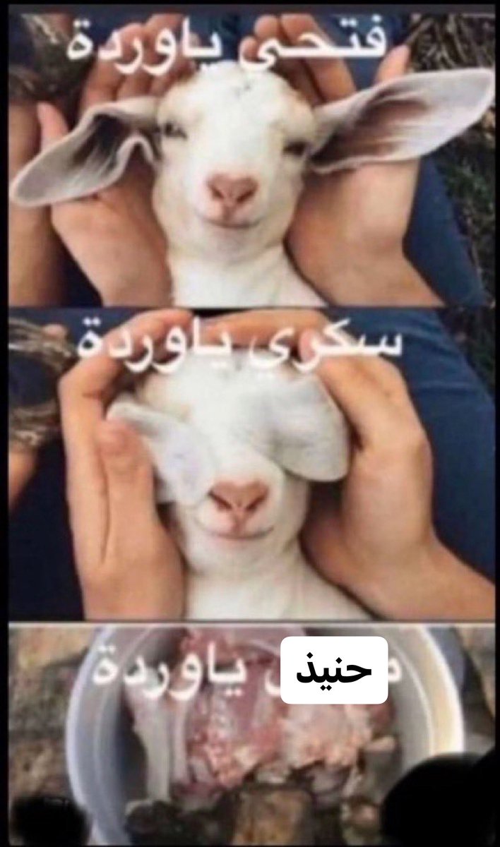 فاني 🕸️ tweet media