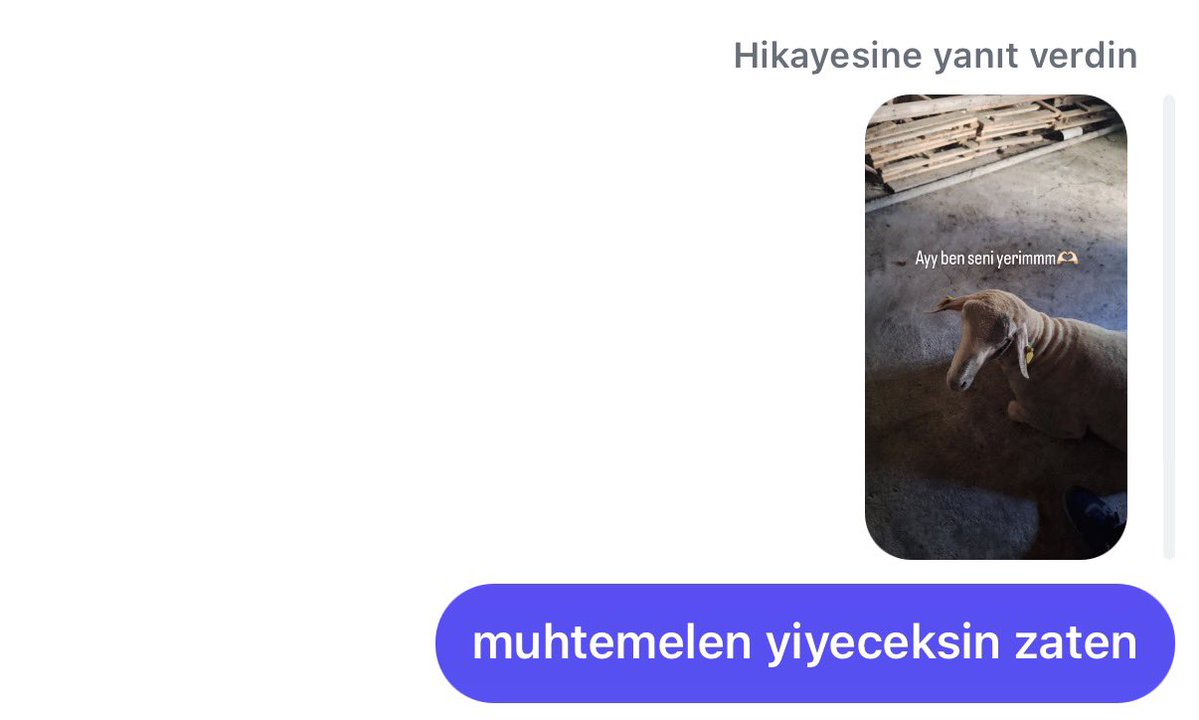 ozmo 🇹🇷 tweet media