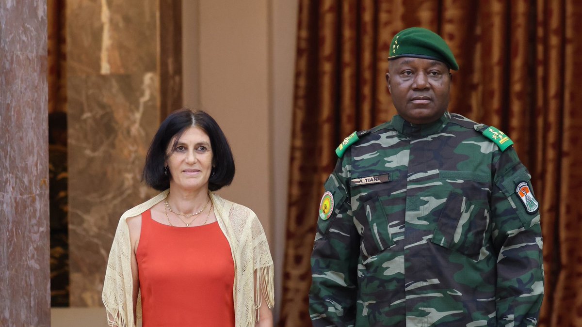 Niger Fr tweet media