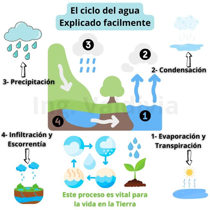 Juan Emilio tweet media