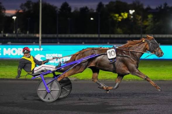 Unikk95's tweet photo. 📆 26/05/26

🍀Quinté +

1-LEONTINE CASH s’impose à 8,9/1 🏆
Avec un excellent parcours donné par F.Nivard, la jument vient toiser sur le poteau une très bonne LYRA POTERIE.

#Teamparieur #Horseracing #Horseracingtips https://t.co/6WEwyERqzC