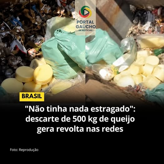 🇧🇷Zelia Fabro22🇧🇷 tweet media