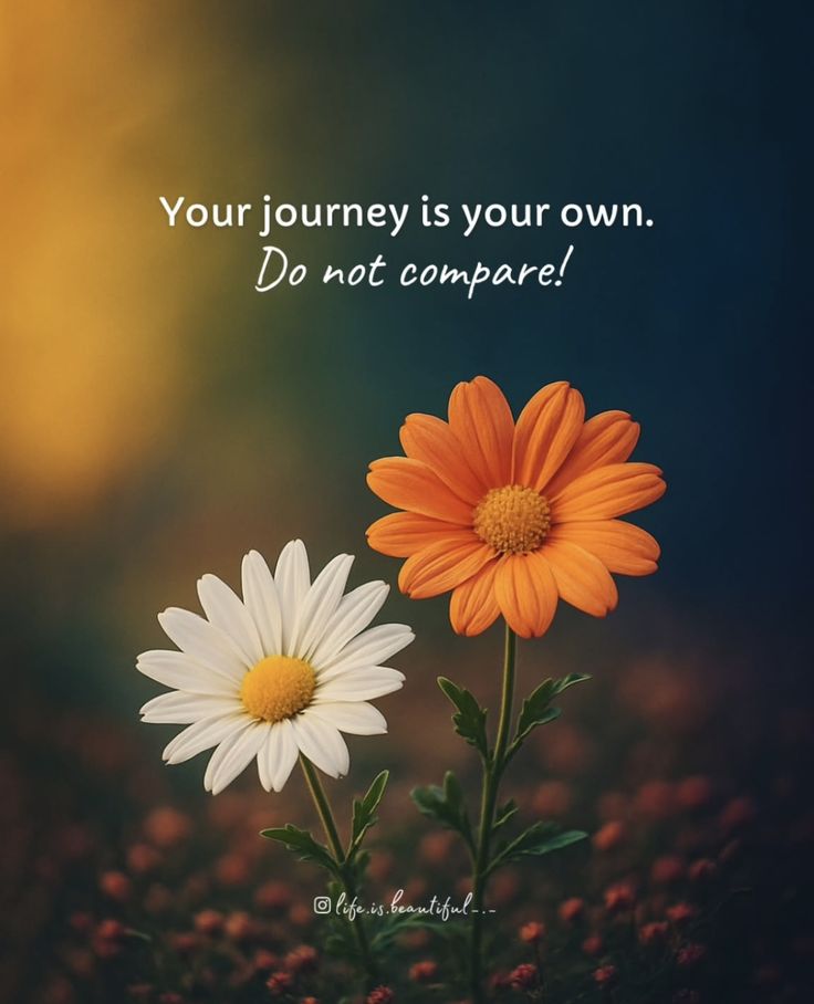 Kaur_Simar987's tweet photo. Positive thought 
#life
#meditation
#motivate https://t.co/8vjGopx2F8