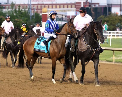 sdhorserace tweet media