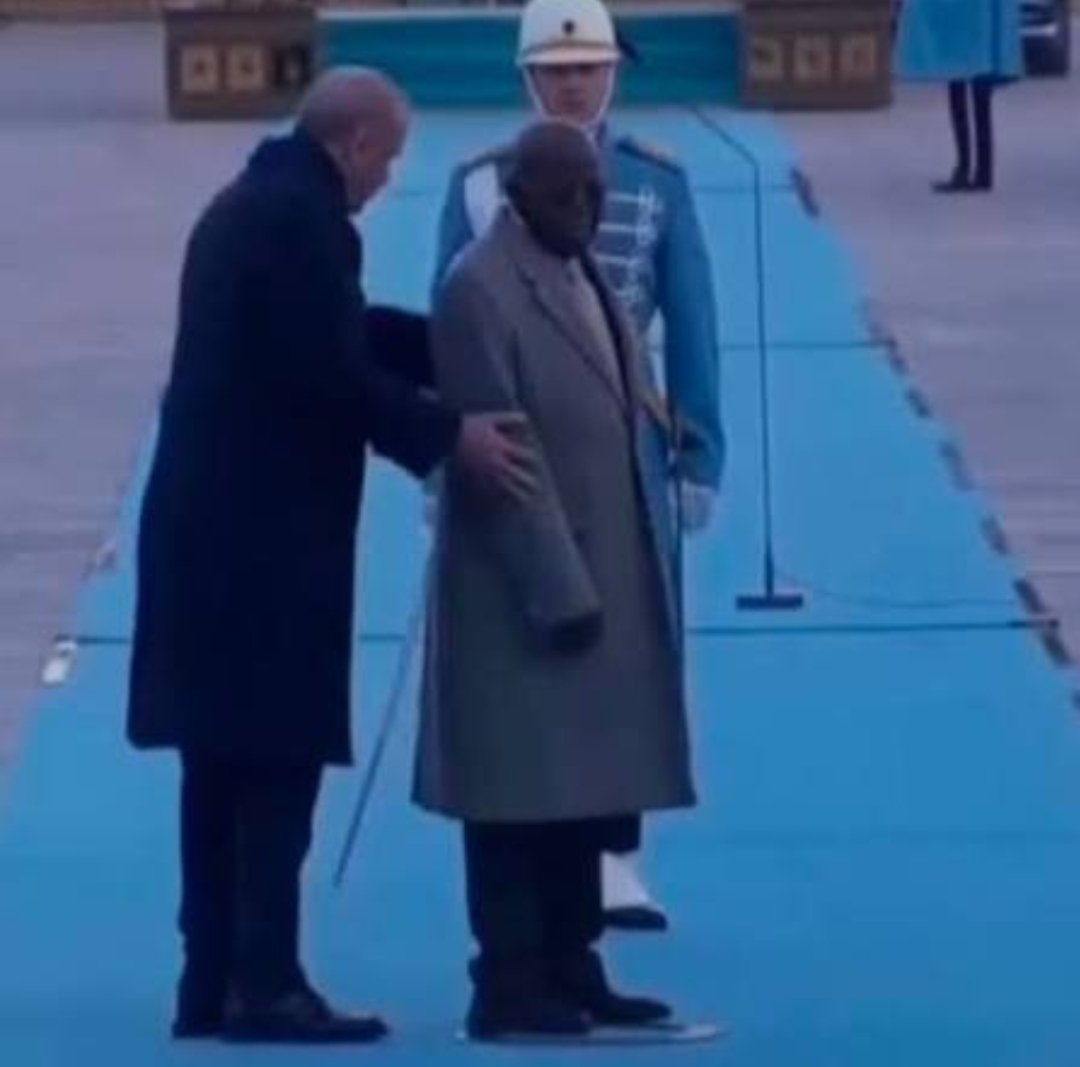 Ossana tweet media