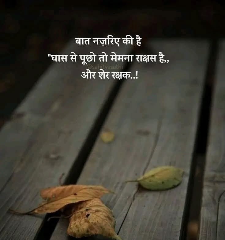 🌹BHAVIKA🌹 tweet media