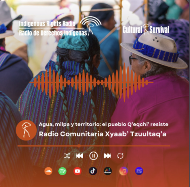 lacoyoteraradio's tweet photo. Radio Comunitaria Xyaab’ Tzuultaq’a presenta un programa sobre el proceso “Pueblo Maya Q’eqchi’ ante Empresas Extractivas”

Este episodio es una colaboración con @CSorg72 

Los martes a las 12pm lo escuchas por https://t.co/IU4EYg89zg y en el 102.3 de FM 

#TuRadioNuestraRadio https://t.co/RHxQKSOm6N