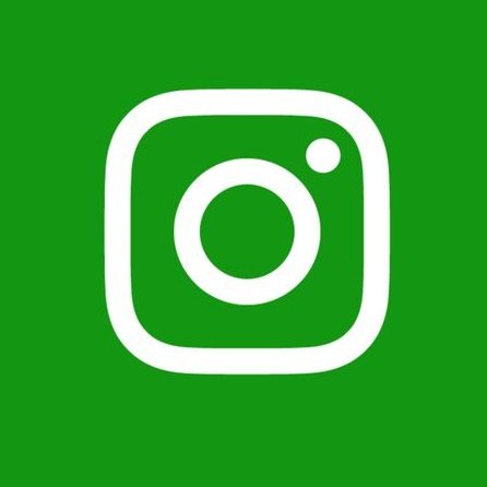 Palmeiras memes🐷💚 tweet media