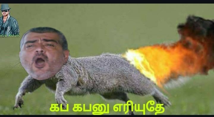 ๐ค ๐๐๐๐๐๐ใ๐๐๐๐๐๐ ๐ค tweet media