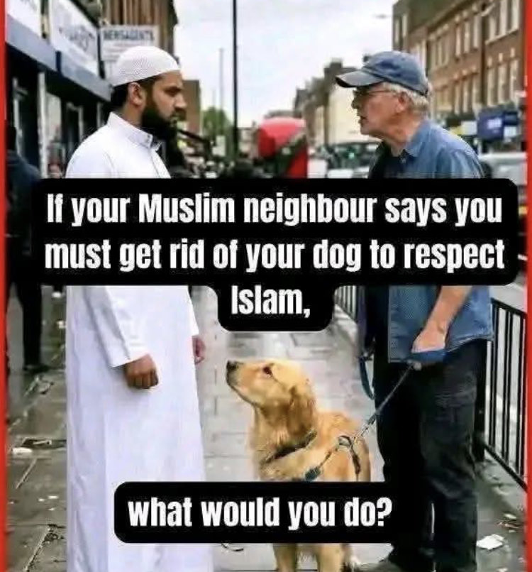 N Ecc 🏴🏴🏴 tweet media