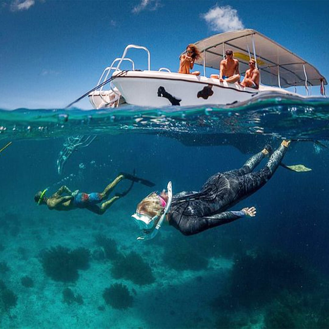 Getcruising's tweet photo. Discover the Caribbean’s vibrant underwater world with Viator! 🌊 Enjoy a guided snorkel shore excursion to explore local reefs, with gear included, small groups, and refreshments after. The perfect mix of adventure and island ease! Let's plan it! (484) 764-9010 https://t.co/MbDnxZKoUU