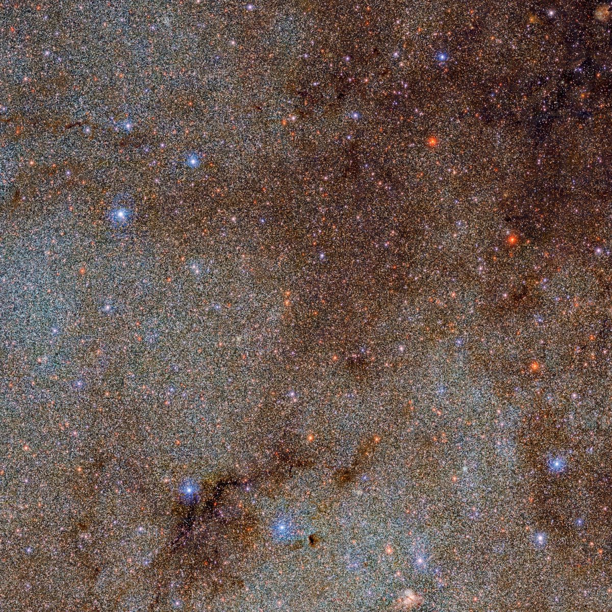 NOIRLabAstroES's tweet photo. ✨ Este rincón del cielo está lleno de estrellas y polvo cósmico, y es una pequeña parte del Dark Energy Camera Plane Survey 2, que catalogó 3.320 millones de objetos celestes.

📷: DECaPS2/DOE/FNAL/DECam/CTIO/NOIRLab/NSF/AURA
Procesamiento: M. Zamani y D. de Martin (NSF NOIRLab) https://t.co/y9v4B3I8ZU