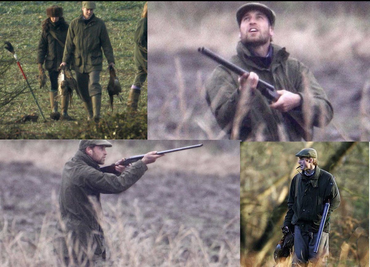 End Bird Shooting tweet media