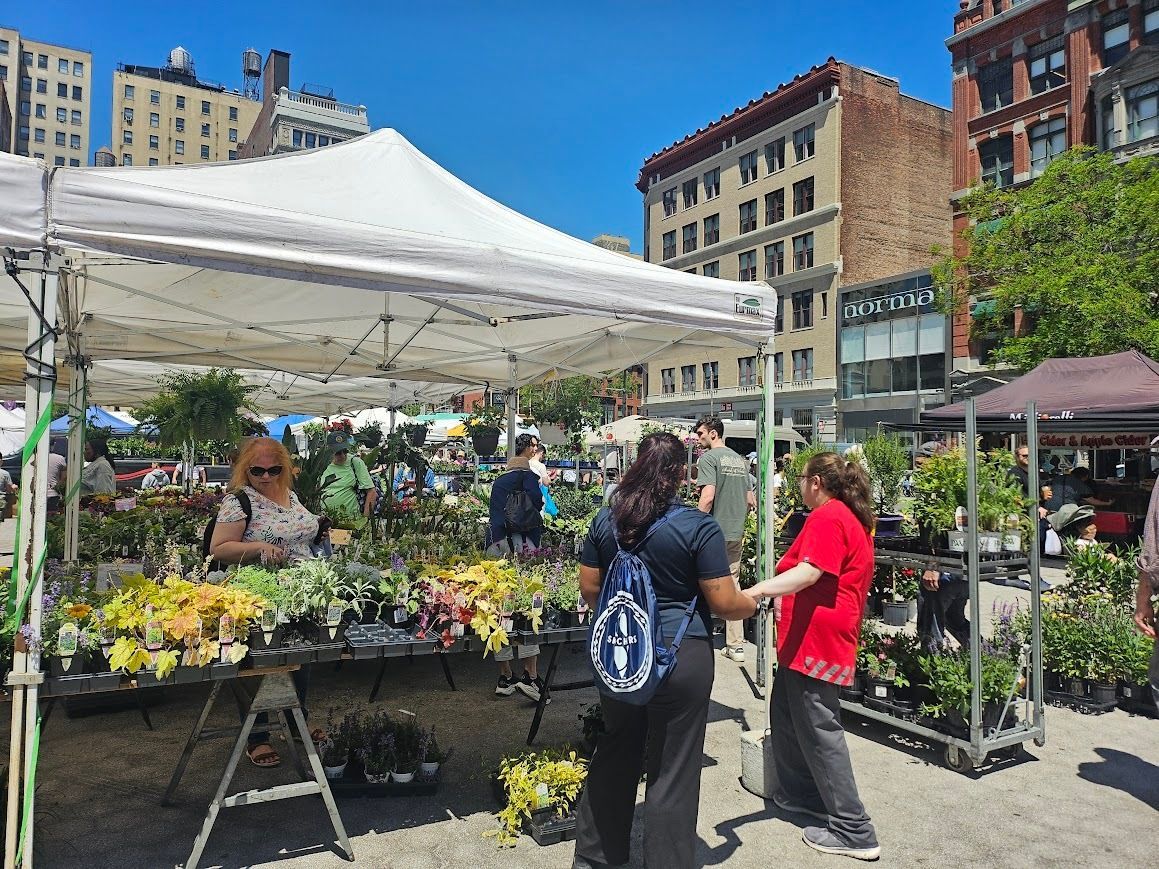 Vialii's tweet photo. It was great to see such a bustling plant sale in Union Square in NYC. There were plenty of both indoor and outdoor plants to choose from and fab to see locals leaving with armfuls of new purchases. Just a shame we couldn't buy any!
#PlantSale
#NYC
#UnionSquareNYC https://t.co/bgN5jiBIn7