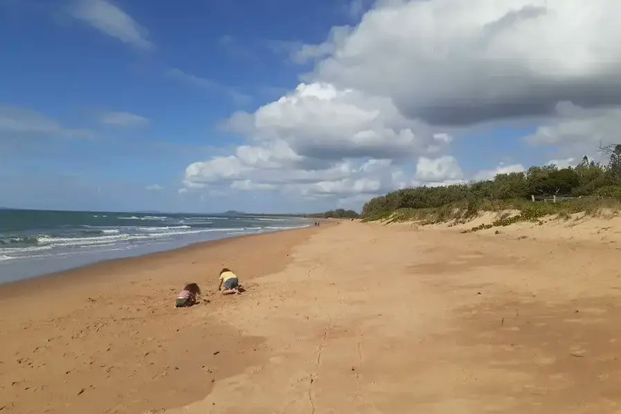 BeachScenes ⛱ tweet media