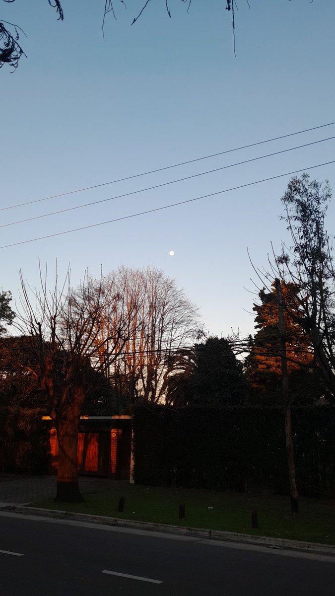 Sely❣ Look at the moon❤️🩹🌙 tweet media
