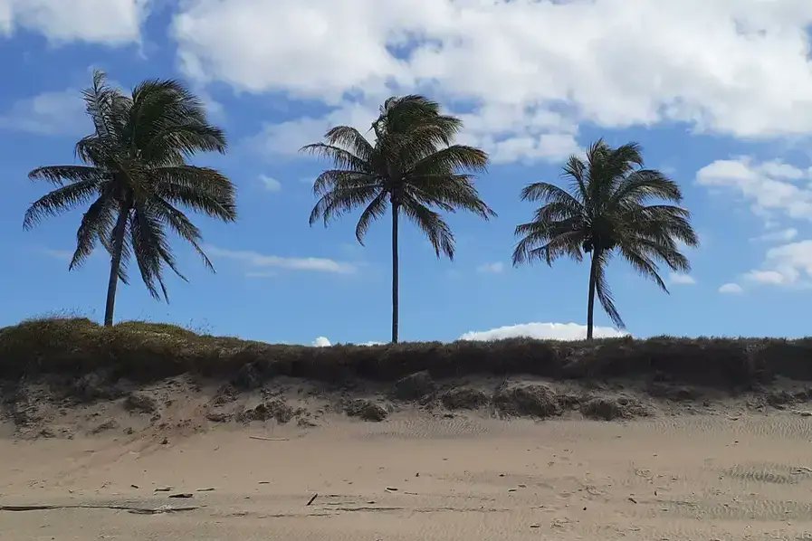 BeachScenes ⛱ tweet media