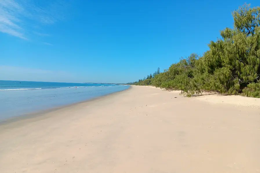 BeachScenes ⛱ tweet media