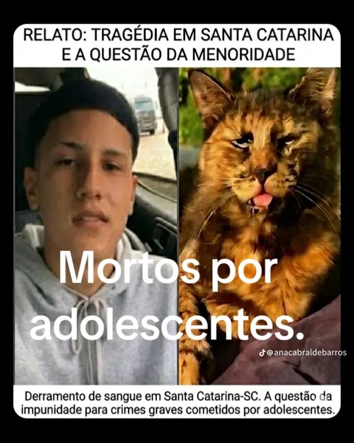 Lola 🧠🎯 tweet media