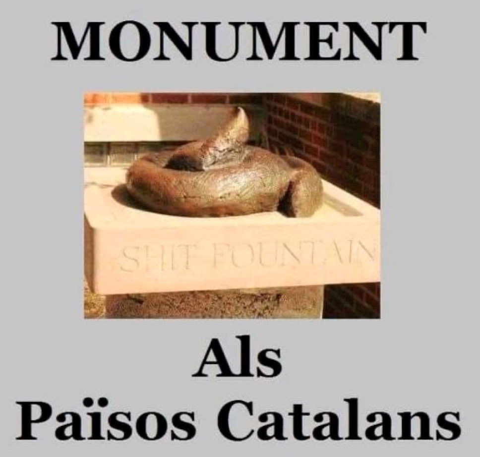 Finselsous4's tweet photo. @TurtellGran @BrunoFerTer https://t.co/AfcSbapAmi