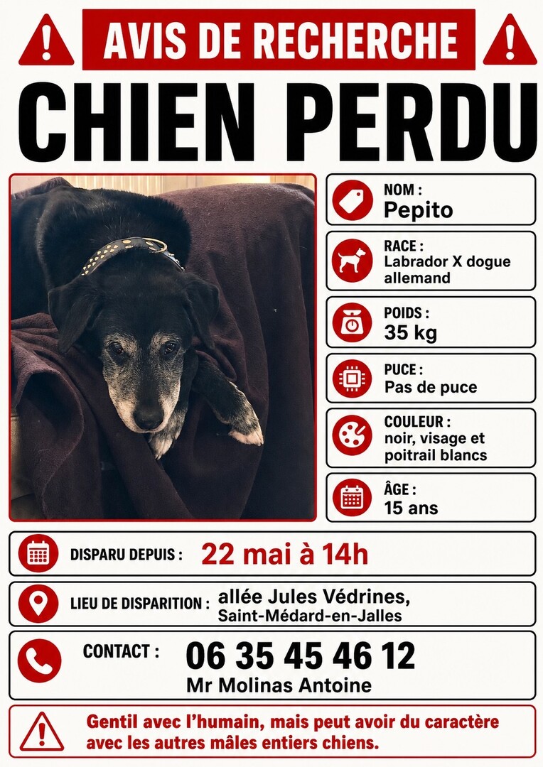 VigiPets.fr tweet media