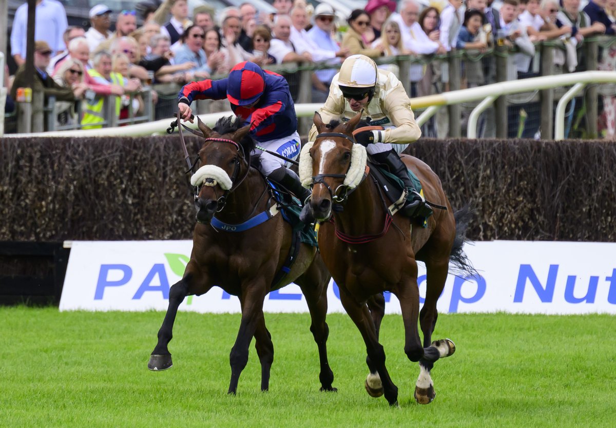 FakenhamRC's tweet photo. Weather looks perfect for Ladies Day 🏇 on Sun 31 May. A bit cooler but still in the 20s 🤞. Gates open 11am, first race 2.35pm, last race 5.05pm and then dancing until 8pm. Save £2 per ticket when bought online, or for group ticket prices save up to 15% - https://t.co/NwId0BDJ1e https://t.co/p9PaqshwfZ