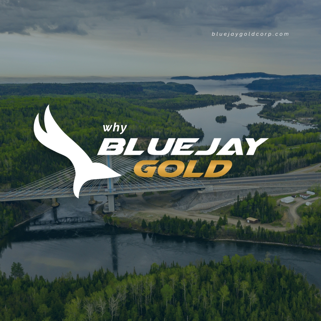 Blue Jay Gold tweet media