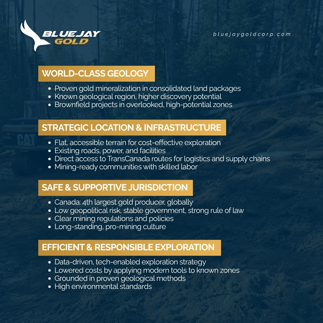 Blue Jay Gold tweet media