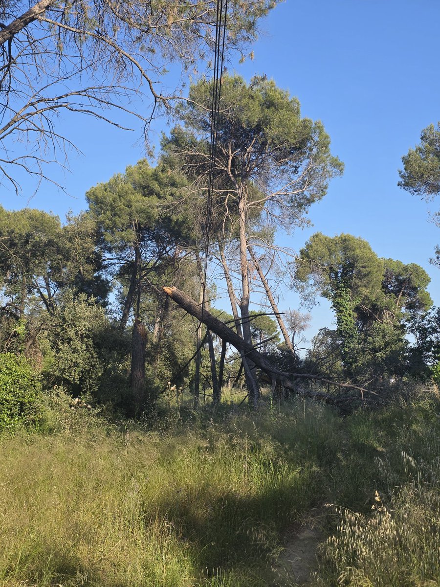 Kram_4's tweet photo. @llicamunt Bona tarda,

Esteu segurs d'haver notificat el problema @llicamunt ? S'acosta l'estiu i això segueix igual.

Tant de bo no passi res... https://t.co/eyUQJksK3E