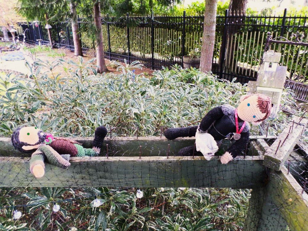 OnlyRedNow's tweet photo. It's Robbie &amp; Karl's TURN to get caught up in the deer net @RedsKnitDolls. Hey, better them than me😉 So while Robbie tries to see things on the bright side, Karl is definitely not on board with that. You can find out why by riding the magic link.
#TURNamc #GameOfThrones https://t.co/ytsLIMbiXQ