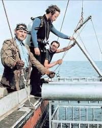 Stuscluster(operator of Bob’s moat) tweet media