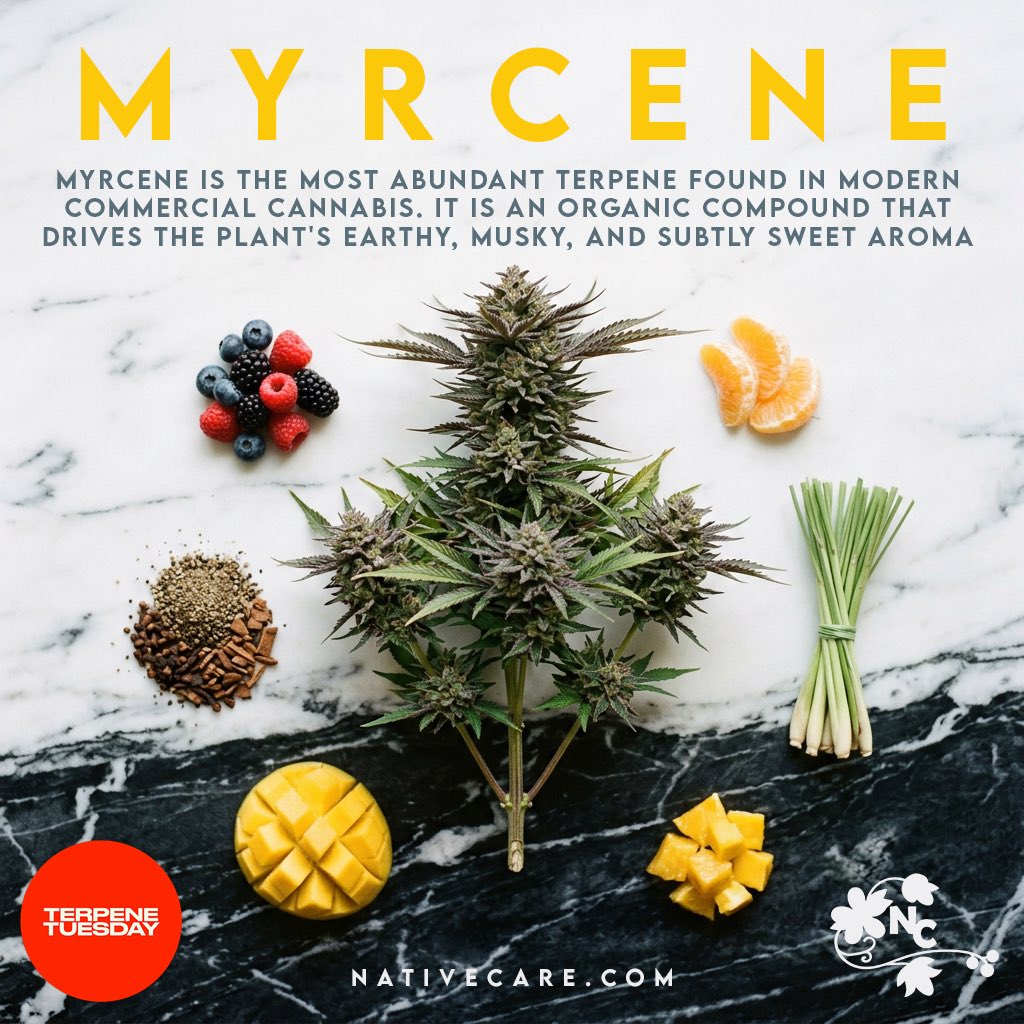 NativeCareAG's tweet photo. #TerpeneTuesday https://t.co/uhxT76X23v