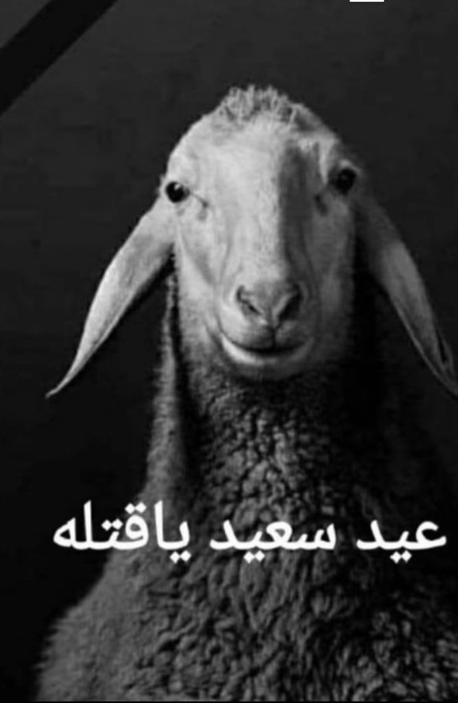 Amro ᯅ tweet media