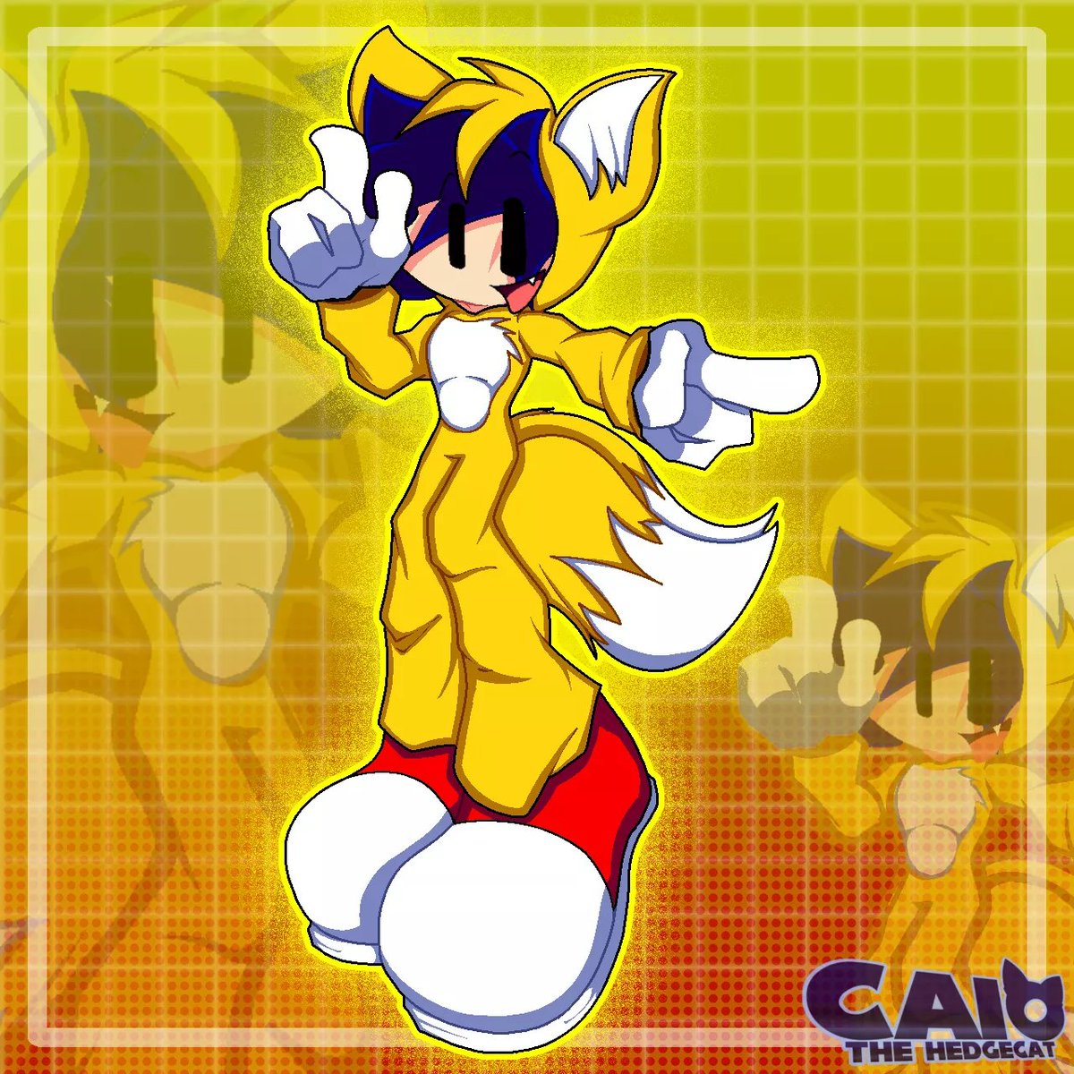 😺Caio The HedgeCat🐈 tweet media