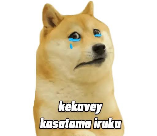 𝙶𝚅 🕶️ tweet media