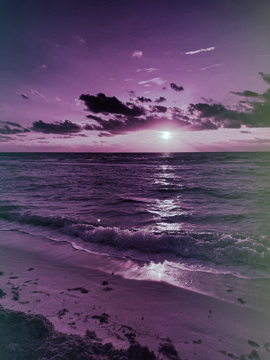 Not_Innocentt's tweet photo. ᅠ ᅠ 
 ᅠᅠ ᅠ 
               ✧ᅠ beach day !!!!
 ᅠ         ᅠ https://t.co/OWUELaD7sA