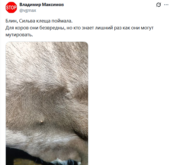 Sandra tweet media