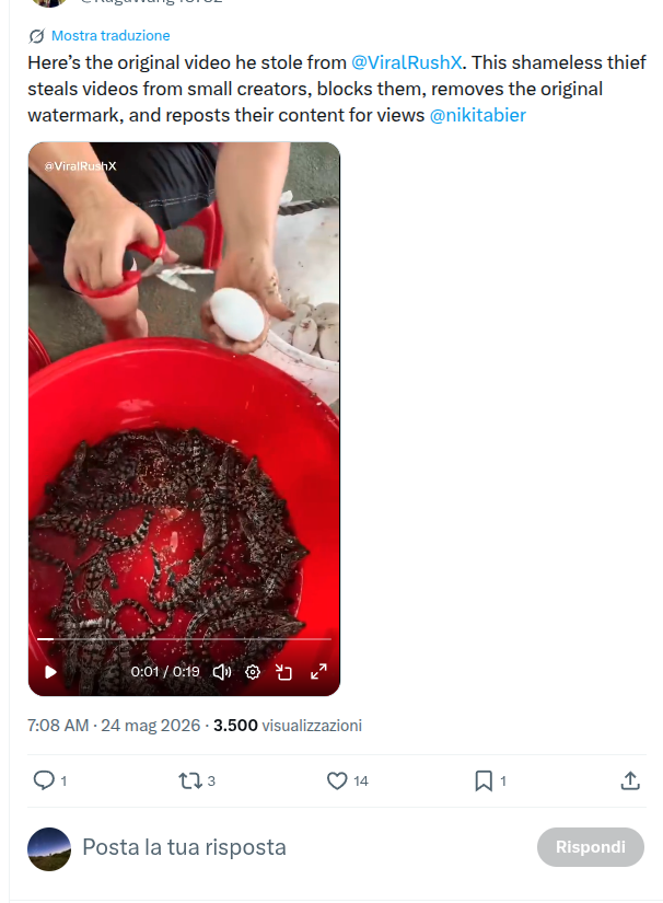 Massimo tweet media