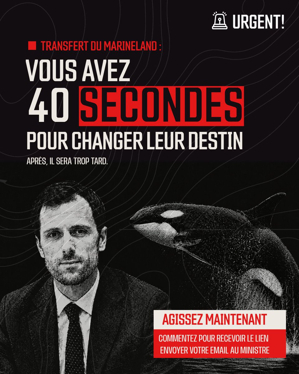 Sea Shepherd France tweet media