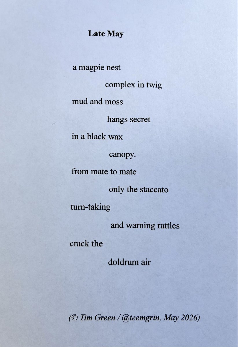 teemgrin's tweet photo. Hello All, sorry I’m late again @TopTweetTuesday Here’s my contribution to today’s great challenge, set by the tireless (even in this heat) @MatthewMCSmith @blackboughpoems - hope it hits the right mark: https://t.co/MeClZEBzaG