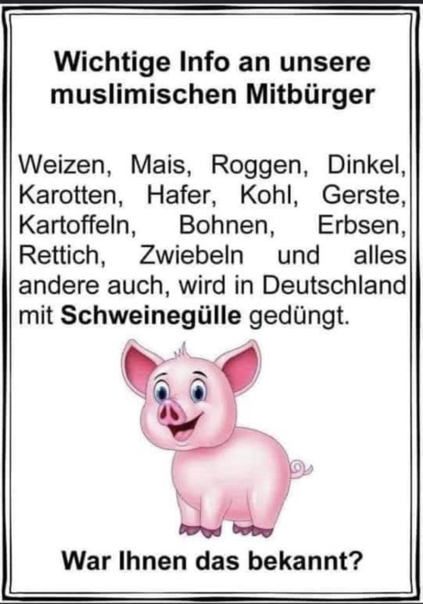 The_Stormrider_👑🇩🇪 tweet media