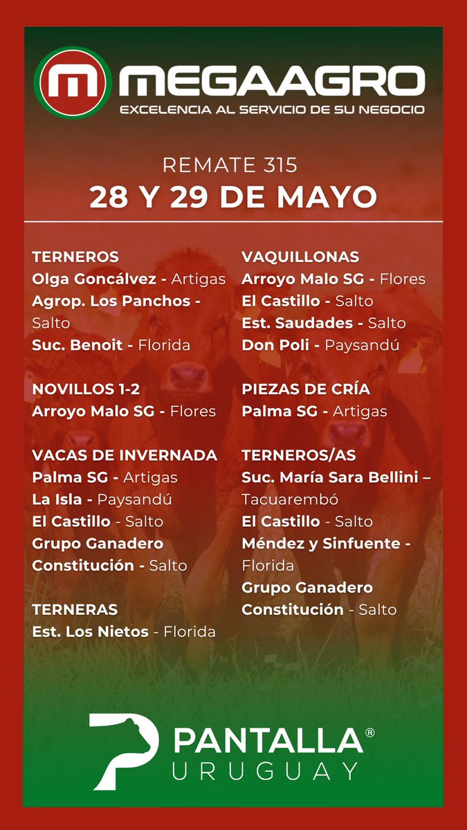 MegaagroUy's tweet photo. Remate 315 de Pantalla Uruguay
🗓️ 28 y 29 de mayo
🐃 1250 vacunos a nuestra consignación 
📲 Consultale a nuestro equipo 

Megaagro. Excelencia al Servicio de su Negocio. 😉🇺🇾 https://t.co/YsIQXT8aVi