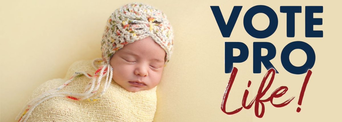 LifeNewsHQ's tweet photo. The Fairfax County GOP voted 99-1 to OPPOSE the radical pro-abortion amendment Abigail Spanberger put on the November ballot.

Every Virginia resident should vote NO on abortions on up to birth. https://t.co/OXdfhtOgdR