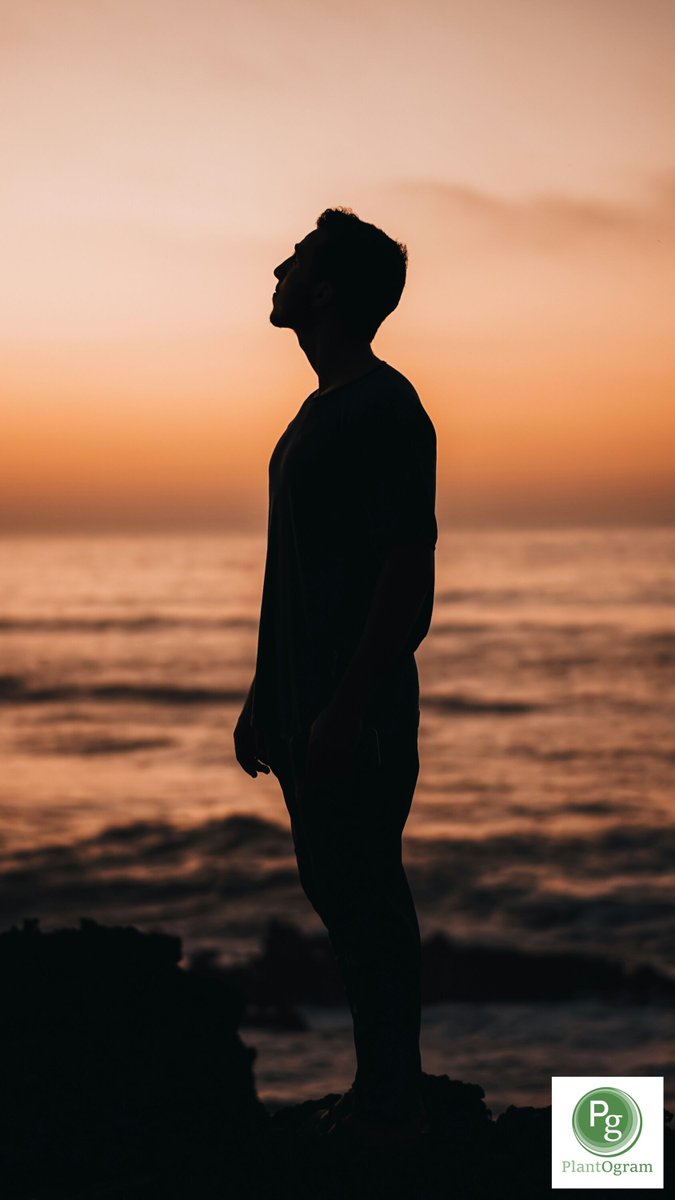 plantogramcomau's tweet photo. HEALTH TIPS 💚  Self-Care &amp; Recovery

Relaxation rituals
Skin &amp; body care
Breathing exercises
Massage &amp; body therapies

See more and join #PlantOgram today 🌱 🌐  https://t.co/kGzpAAtevx

#alternativemedicine #cultivation https://t.co/ajovnQcafO