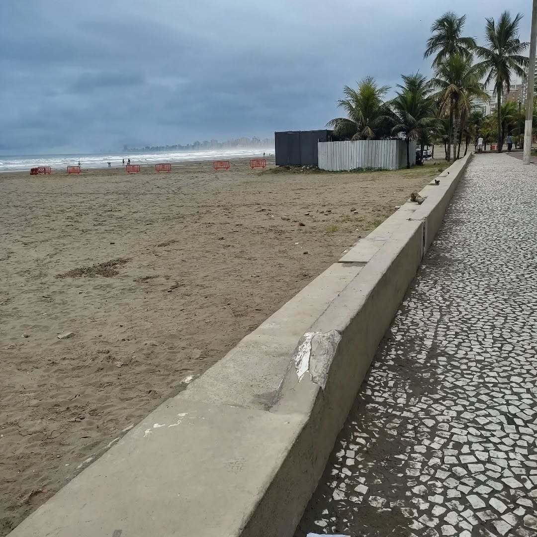 Miami brasileira tweet media