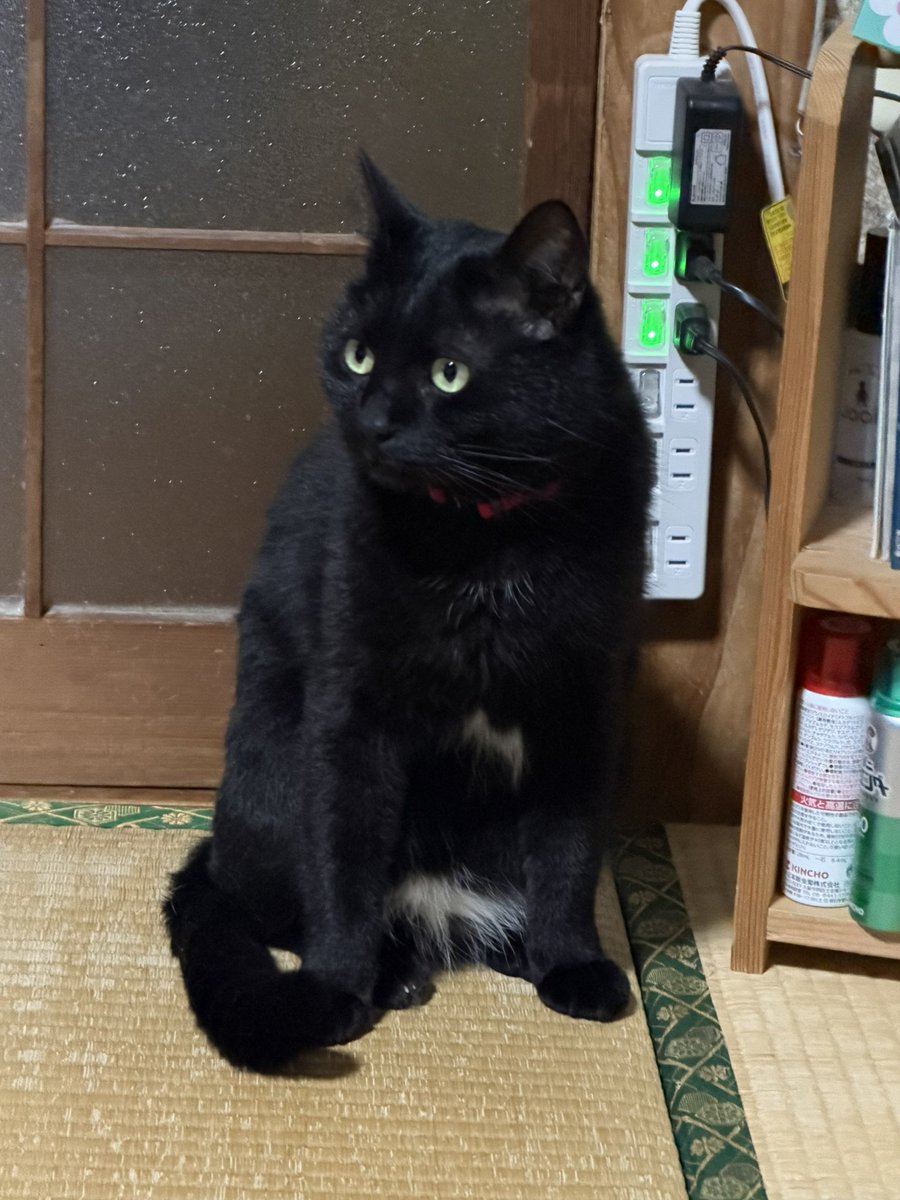 古川和洋 tweet media