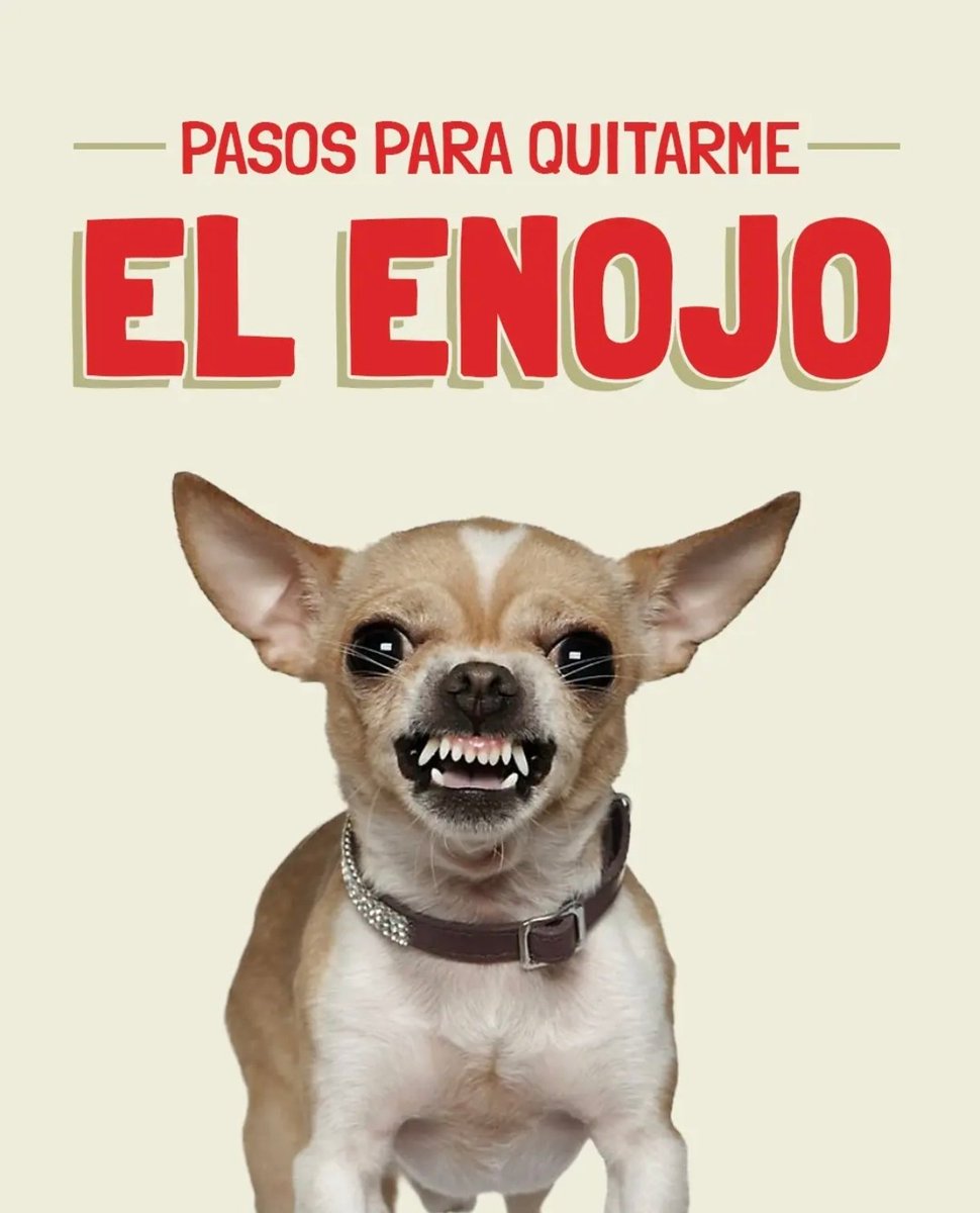 Taqueromuxo's tweet photo. ⚠️Atención Enojones😤
Aquí el paso para sacarte el enojo:
Comer Taquero Muxo!
Vení corriendo o Pedinos
📍Sebastián Gaboto y Alejandro Ravizza (Lambaré)
📱0986-829142
🗺️🔎Google Maps: *Taquero Muxo*
🇲🇽🌶️🇲🇽🌶️🇲🇽🌶️🇲🇽🌶️
#ComidaMexicana #taco #Paraguay https://t.co/7l66MeucFG