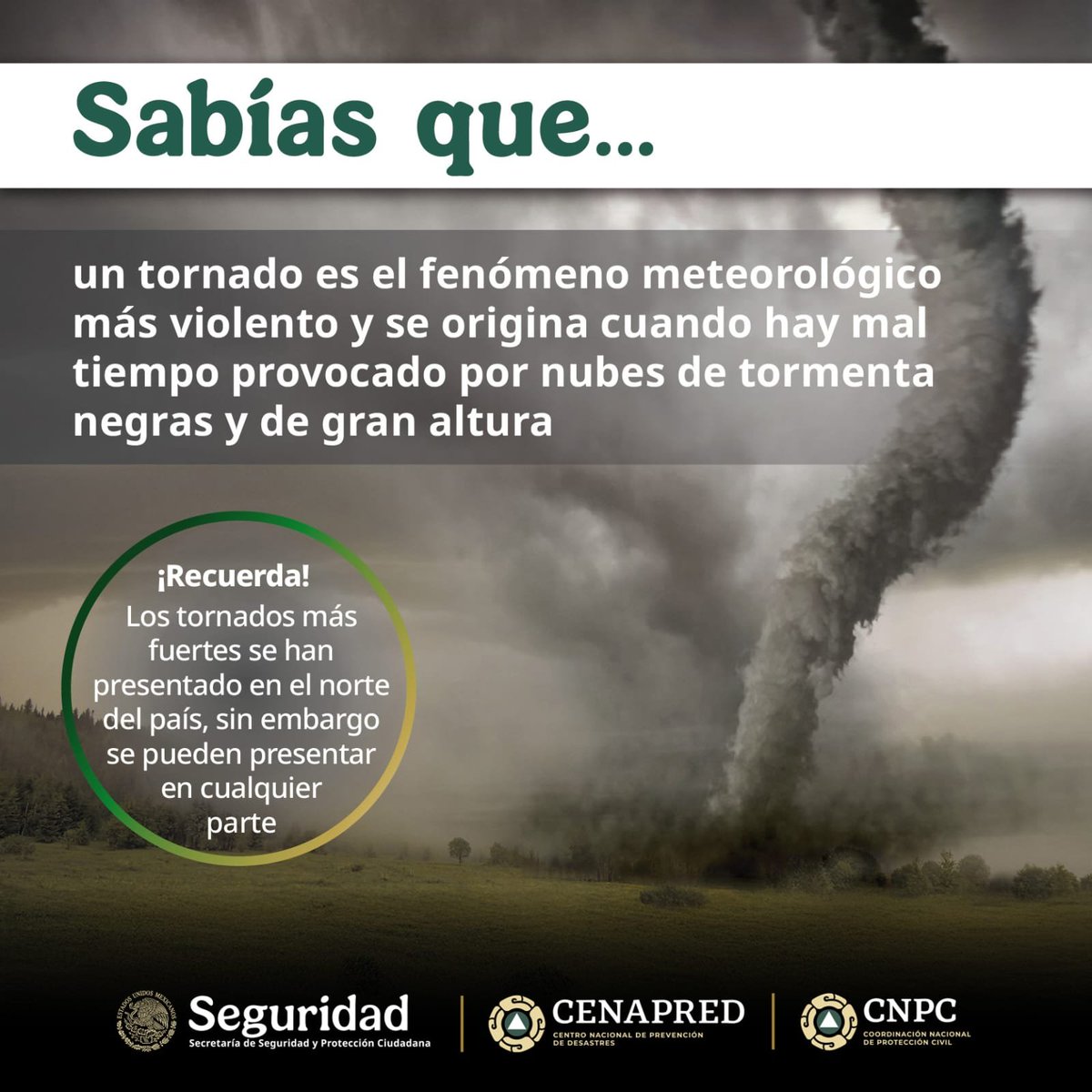 Coordinación Nacional de Protección Civil tweet media
